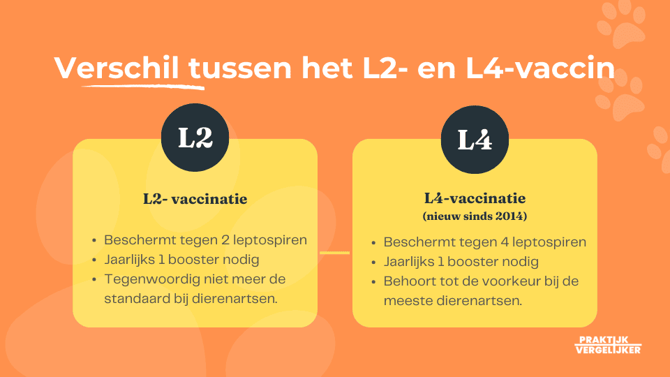 Verschil L2 L4 vaccin ziekte van weil